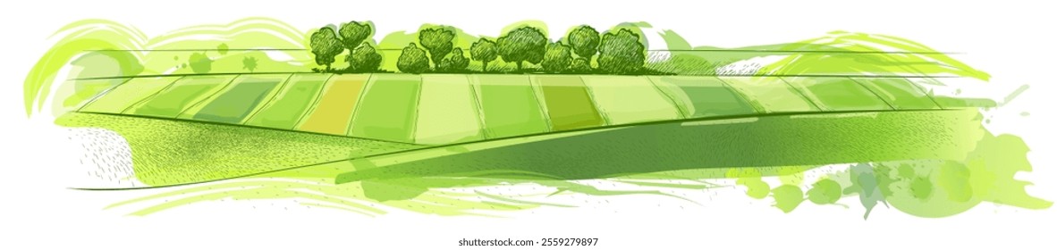 Green grass field on small hills. Meadow, alkali, lye, grassland, pommel, lea, pasturage, farm. Rural scenery landscape panorama of countryside pastures. Vector sketch watercolor  illustration