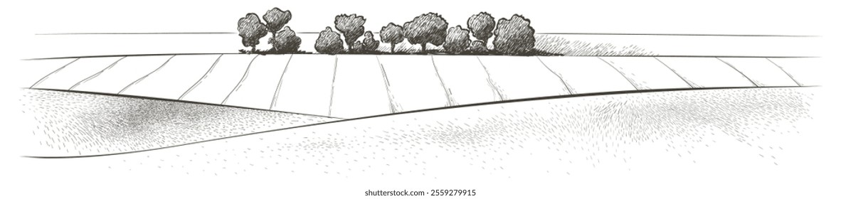 Green grass field on small hills. Meadow, alkali, lye, grassland, pommel, lea, pasturage, farm. Rural scenery landscape panorama of countryside pastures. Vector sketch illustration