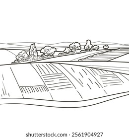 Green grass field on small hills. Meadow, alkali, lye, grassland, pommel, lea, pasturage, farm. Rural scenery landscape panorama of countryside pastures. Vector sketch line illustration