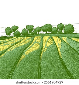 Green grass field on small hills. Meadow, alkali, lye, grassland, pommel, lea, pasturage, farm. Rural scenery landscape panorama of countryside pastures. Vector sketch line illustration