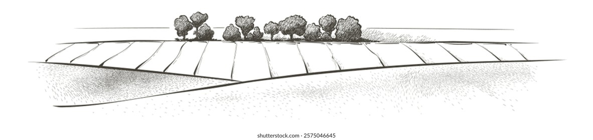 Green grass field on small hills. Meadow, alkali, lye, grassland, pommel, lea, pasturage,  farm. Rural scenery landscape panorama of countryside pastures. Vector sketch illustration