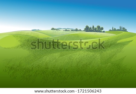 Green grass field on small hills with 
blue sky. Meadow, alkali, lye, grassland, pommel, lea, pasturage, farm. Rural scenery landscape panorama of countryside pastures. Vector watercolor realistic