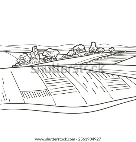 Green grass field on small hills. Meadow, alkali, lye, grassland, pommel, lea, pasturage, farm. Rural scenery landscape panorama of countryside pastures. Vector sketch line illustration