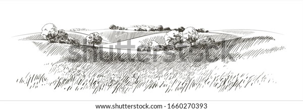 Green\
grass field on small hills. Meadow, alkali, lye, grassland, pommel,\
lea, pasturage,  farm. Rural scenery landscape panorama of\
countryside pastures. Vector sketch\
illustration