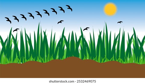 Campo de grama verde com o sol brilhando. Vista natural de grama verde Com argila e sol no céu Blue.With Crow Vetor ilustração.