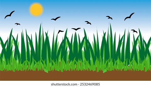 Green grass field with the sun shining. Natural view of green grass and sun in Sky Blue.With Crow Vector illustration.