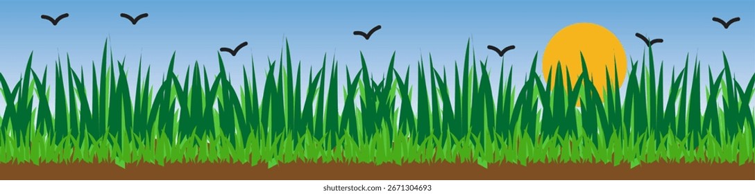 Green grass field with the sun shining. Natural view of green grass and Sky With Crow Vector illustration.