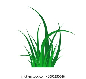 Green grass flat icon. Silhouette of grass. Green lawn. Template for your design. Vector illustration.