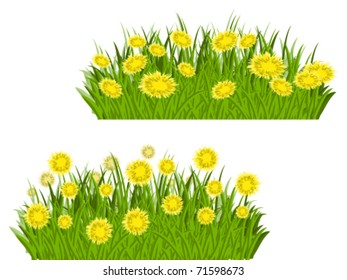 Green grass and floral borders isolated on white background