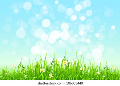 Green Grass with Flowers