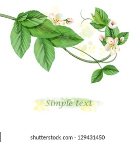 green grass and flowers