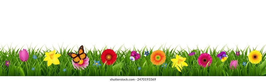 Green Grass And Flowers Border Isolated White Background With Gradient Mesh, Vector Illustration