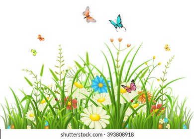 Green grass with flowers and butterflies isolated on white