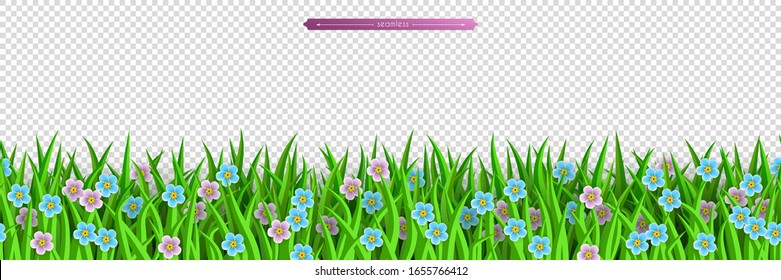 Grünes Gras und Blumen nahtlose Grenze. Dekorationselement von Sommerfeder und Osterdesign einzeln auf transparentem Hintergrund. Flache Vektorillustration von Wiesen und Myosotis