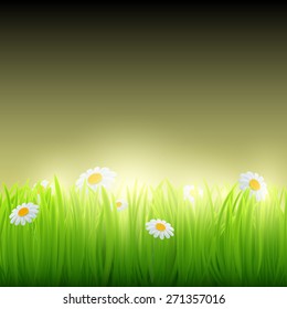 Green grass with flowers. Vector image.