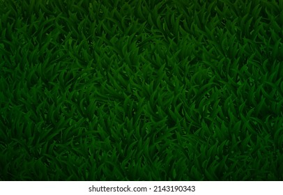 Green grass fo Golf course Background.