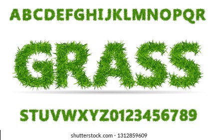 Green grass font. Lawn texture alphabet with numbers on white background.