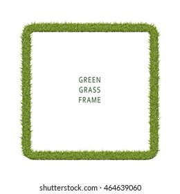 Green grass frame with copy space on white background. Vector illustration field.
