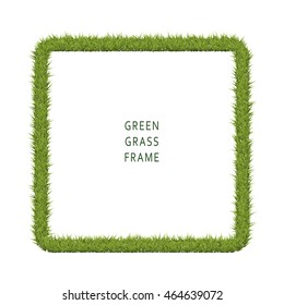 Green grass frame with copy space on white background. Vector illustration field.