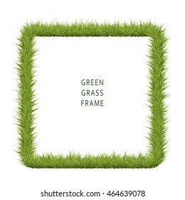 Green grass frame with copy space on white background. Vector illustration field.