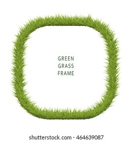 Green grass frame with copy space on white background. Vector illustration field.