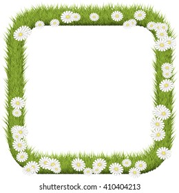Green grass frame. Field with chamomile flowers. Vector illustration background.