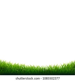 Green Grass Frame With Gradient Mesh, Vector Illustration