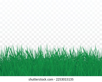 Green Grass Frame Isolated On Transparent Background. Vector