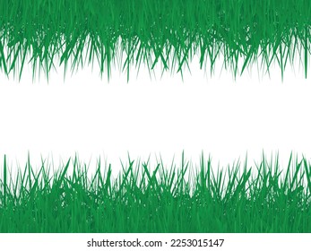 Green Grass Frame Isolated On White Background. Vector