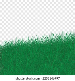 Green Grass Frame Isolated On Transparent Background. Vector