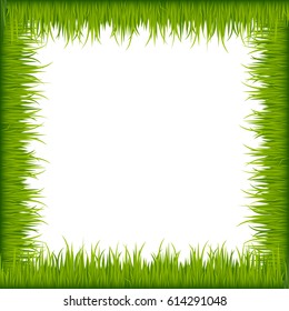 Green grass frame isolated on white background. Vector illustration