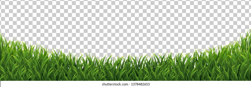 Green Grass Frame Isolated Transparent background, Vector Illustration