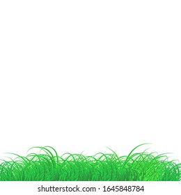 Green Grass Frame Isolated Transparent background.Vector green big  grass texture illustration: natural, organic, bio, eco label and shape.Concept Ground land. Isolated.It is possible to add text.