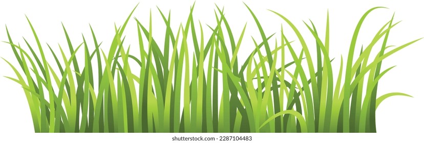 Green Grass Frame Isolated Transparent background, Vector Illustration