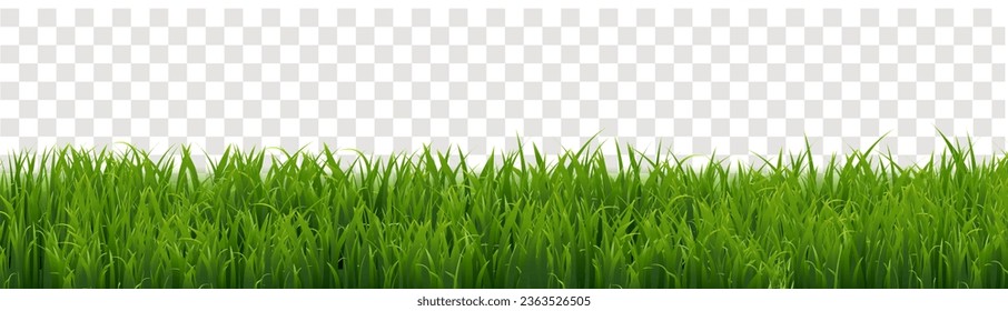 Green Grass Frame Isolated Transparent Background , Vector Illustration
