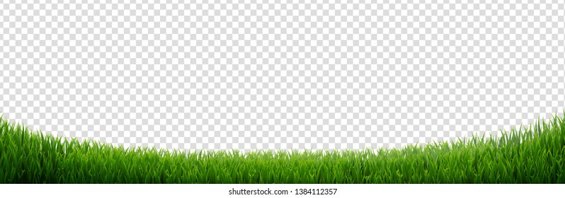 Green Grass Frame Isolated, Vector Illustration