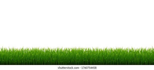 Green Grass Frame Isolated White Background, Vector Illustration