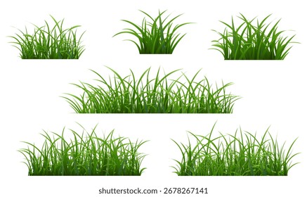 Marco de hierba verde aislado fondo blanco, Ilustración vectorial