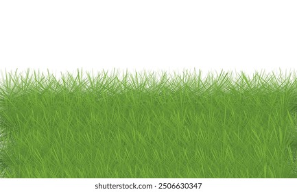 Green grass frame on white background. Vector illustration. Eps 10.