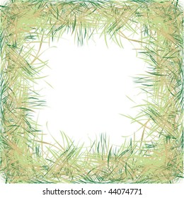Green grass frame on white background