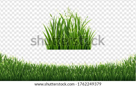 Green Grass Frame Set In Isolated White Background, Vector Illustration