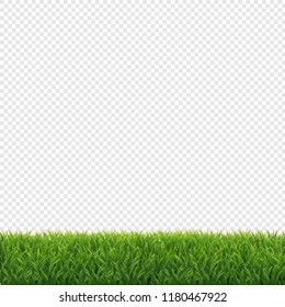 Green Grass Frame Transparent Background, Vector Illustration