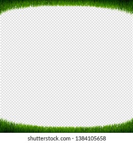 Green Grass Frame Transparent Background With Gradient Mesh, Vector Illustration