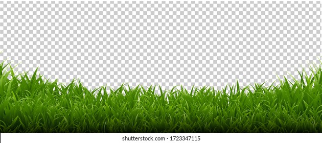 Green Grass Frame Transparent Background With Gradient Mesh, Vector Illustration