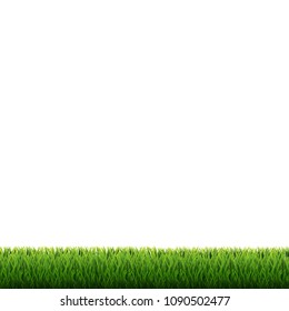 Green Grass Frame, Vector Illustration