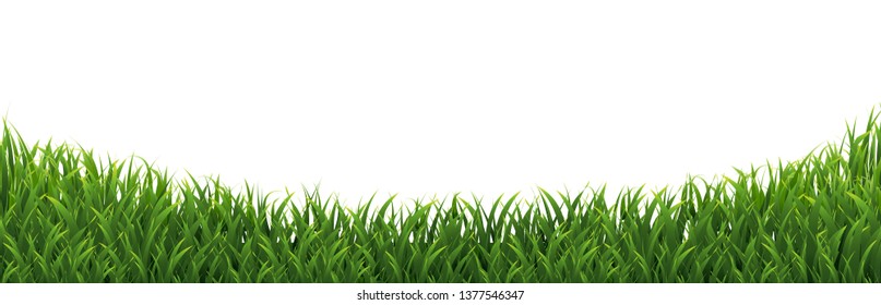 Green Grass Frame, Vector Illustration