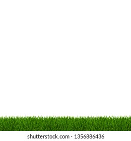 Green Grass Frame White Background With Gradient Mesh, Vector Illustration