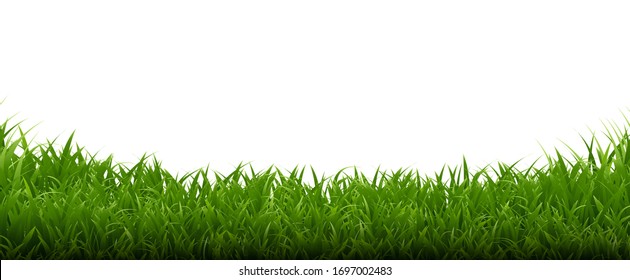 Fondo blanco del marco verde con malla degradada, ilustración vectorial