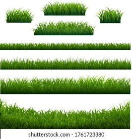 Green Grass Frame With White Background With Gradient Mesh, Vector Illustration