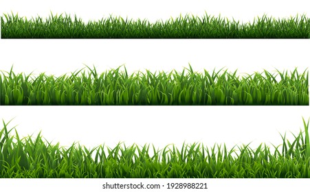 Green Grass Frame With White Background, Vector Illustration